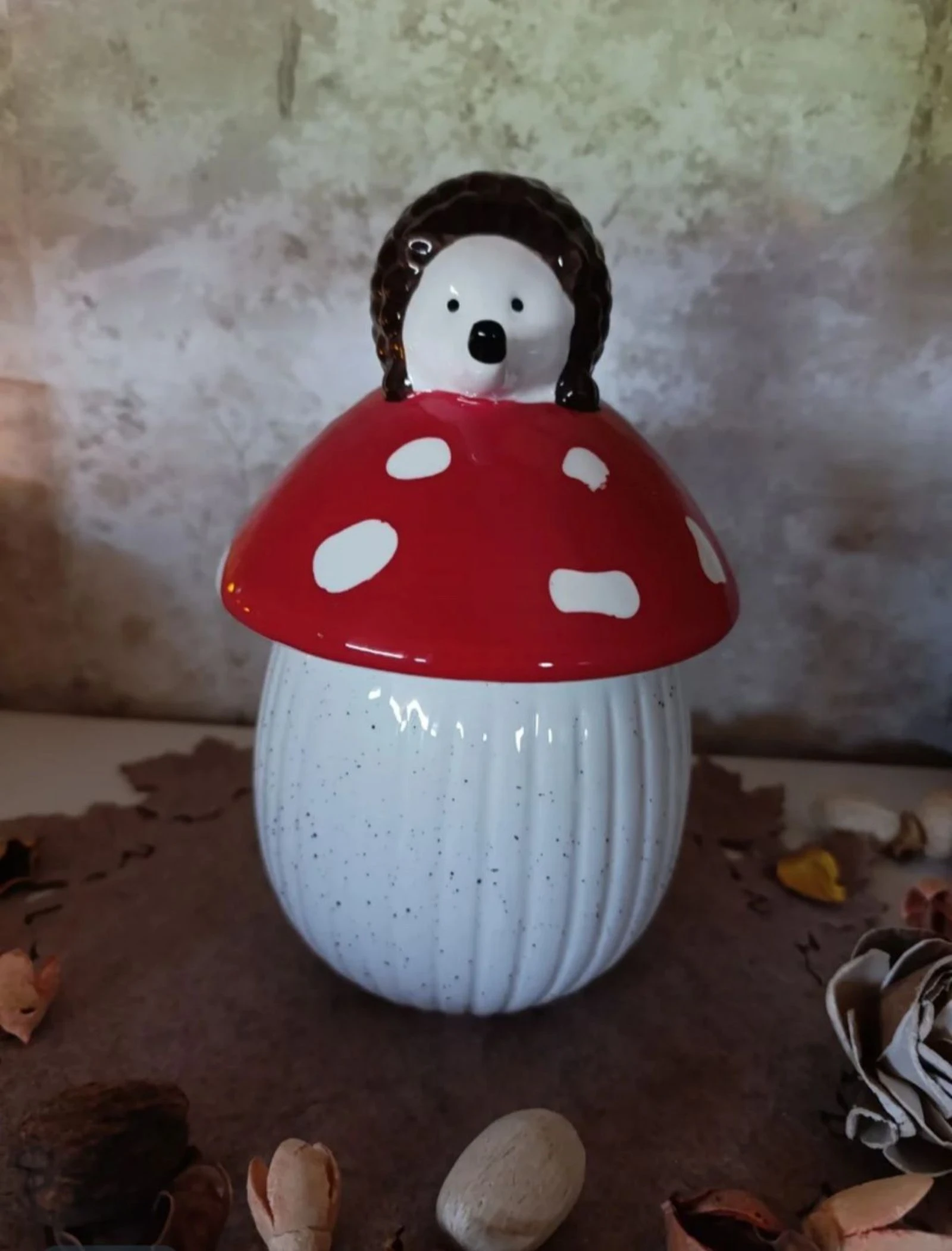 Seta con erizo – photo 2